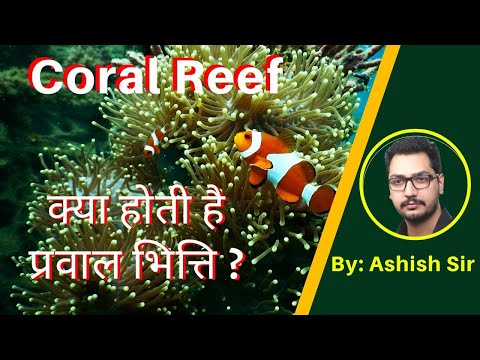 What are Coral Reefs ? | Benefits of Coral Reef |