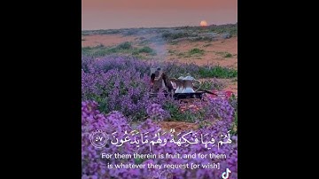 #تيك_توك #القزابري #المصحف #اكسبلور # القرآن_العظيم_سورة_يس