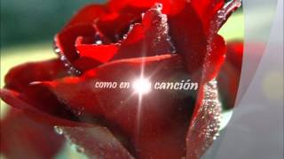 Video thumbnail of "Como duele el amor -- Guillermo Plata (Lyrics)"
