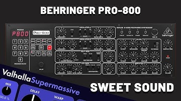 Sweet Sound with Behringer Pro-800 [Synthesizer Demo] (No Talking)