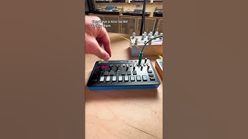 And most of all, they’re fun 😏 #synthesizer #synthesizers #dawless #analogsynth #moogaudio
