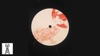 Jay Shepheard - Early Doors