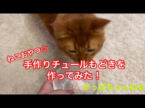 ねこおやつ 手作りチュールもどきを作ってみた Youtube