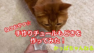 ねこおやつ 手作りチュールもどきを作ってみた Youtube ねこおやつ 手作りチュールもどきを作ってみた Youtube