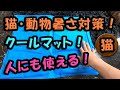 猫日記　夏を快適に　「クールマット購入」　人にも使えます！