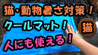 猫日記　夏を快適に　「クールマット購入」　人にも使えます！