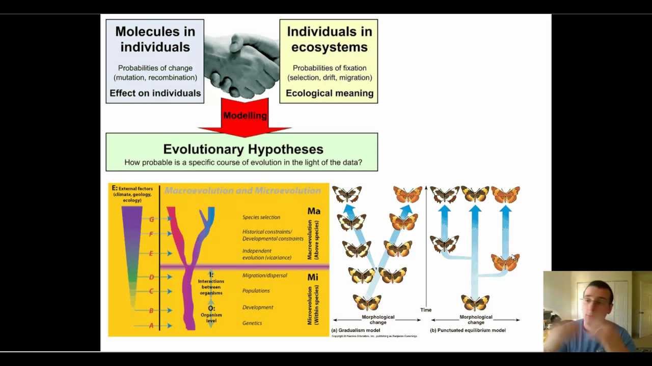 Modern Synthesis Theory of Evolution - YouTube