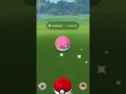 Voltorb from the Hisui region research | Hisuian Voltorb debut #pokemongo