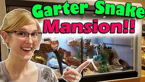 New Garter Snake Vision Cage!