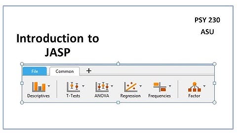 PSY 230 One Sample t Test in JASP