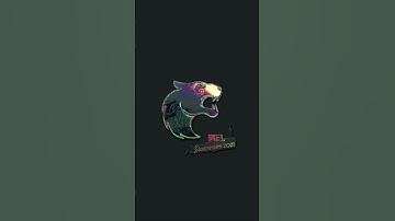 Should you invest in csgo major stickers?