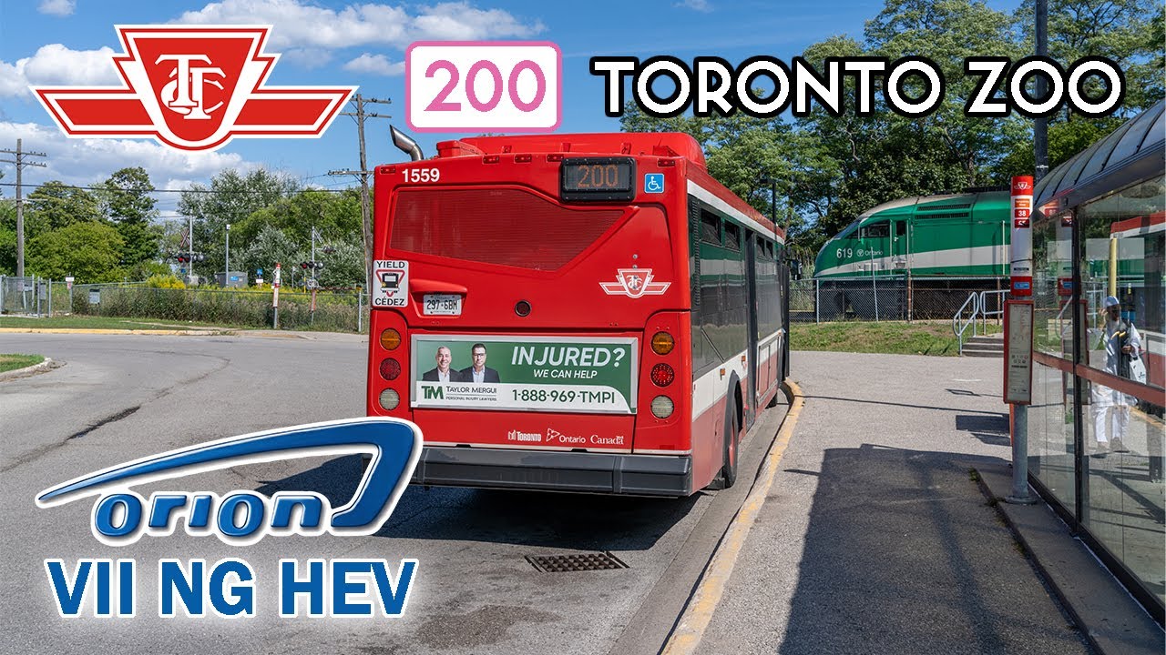 TTC Orion VII NG HEV 1559 Hybrid Bus Ride