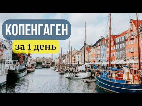 Video: Копенгаген базарынын алгачкы фактылары – Копенгаген базарындагы капуста өсүмдүктөрүнө кам көрүү