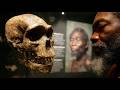 Does This Fossil Skull Prove The Out of Africa Theory?