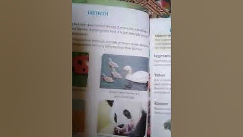 SCIENCE CLASS 6 LECTURE 5 CHAPTER 4 LIFE CYCLES| NATIONAL BOOK FOUNDATION NEW EDITION