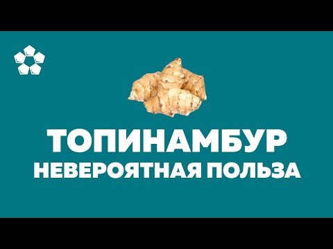 Топинамбур - уникальный корнеплод, который вылечит всю семью