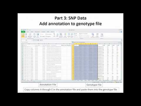 What To Do When your SNP Data Set Arrives: A Case Study