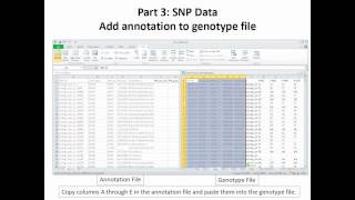 What To Do When your SNP Data Set Arrives: A Case Study