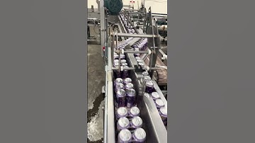 Beverage Can Conveyors with Tool Less Adjustable center guide