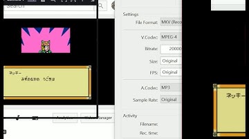 Quick Tutorial: Using POTPLAYER to screen capture as video