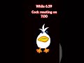 funny cock