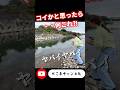 この魚はまさかの⁈#バス釣り #釣りガール #fishing
