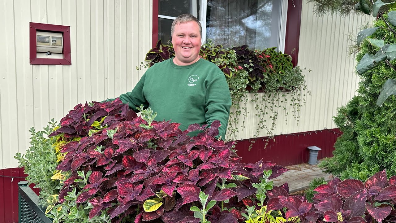 Массовые  посевы  и большие планы  в этом сезоне.😍🥰 