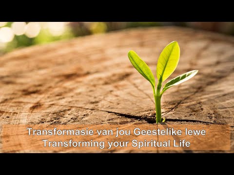 Video: Wat is die proses van transformasie?