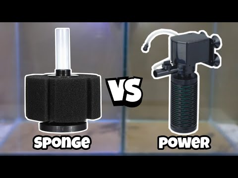 Which one is Better Sponge Filter or Power Filter