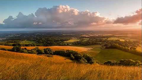تلاوة عطرة في قمة الجمال والعذوبة