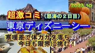 【短縮時間の日は気を付けて！超激コミ！東京シー】怒涛の２日目！体力・持久力ゼロで楽しめるのか？