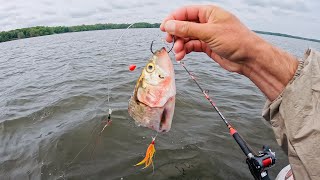 Catfishing for Money in Ohio