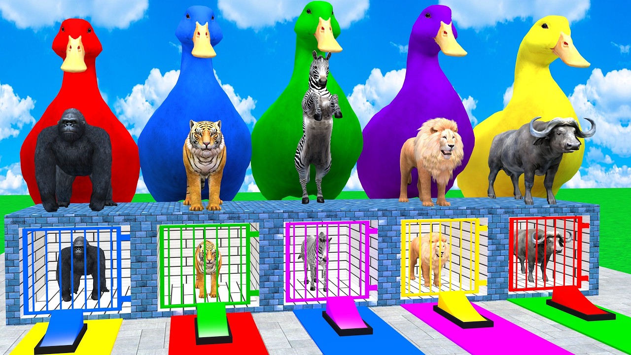 Long Slide Game With Gorilla Tiger Zebra Lion Buffalo Hippopotamus 3d Animal Game Funny 3d Animals