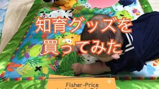 【知育】Fisher Priceのベビージムを買ってみた！