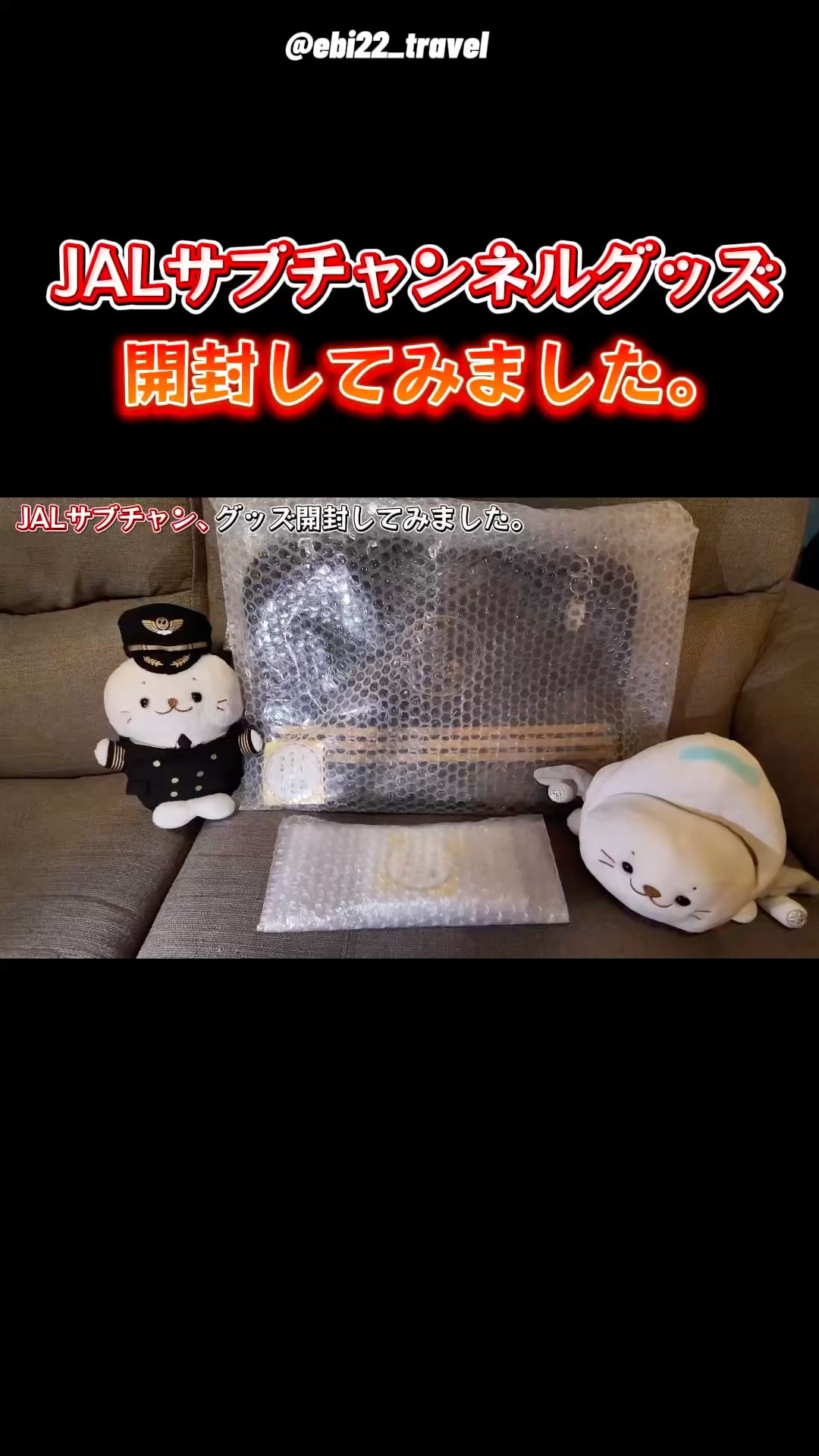 JAL サブチャンネル オリジナル衣装袋 新品未開封 JALサブチャンネルはじめました✈️】公式グッズが遂に届いたので、JAL
