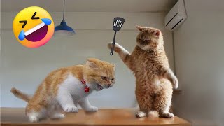 Funniest Animals Video  Best Cats and Dogs Videos of 2023  Funny Animal Video #8