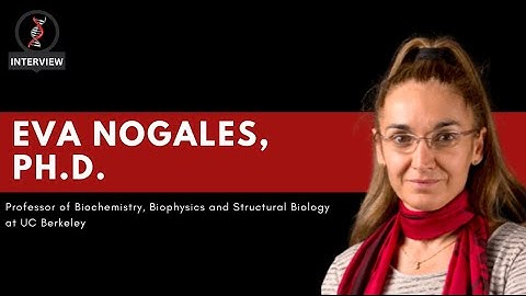 From immigrating from Spain to Uncovering Molecular Machinery: Biochemist Dr. Eva Nogales