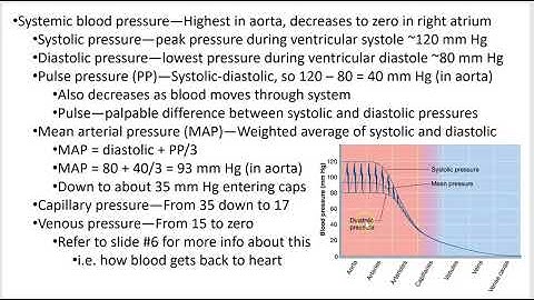 2402 Lecture Chapter 19 Blood Vessels 4 PowerPoint Screencast