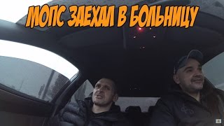 Мопс заехал в больницу