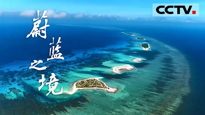 豆瓣评分9.2！媲美BBC的《蔚蓝之境》带你领略“地球脉动”《蔚蓝之境》【CCTV纪录】 - 天天要闻