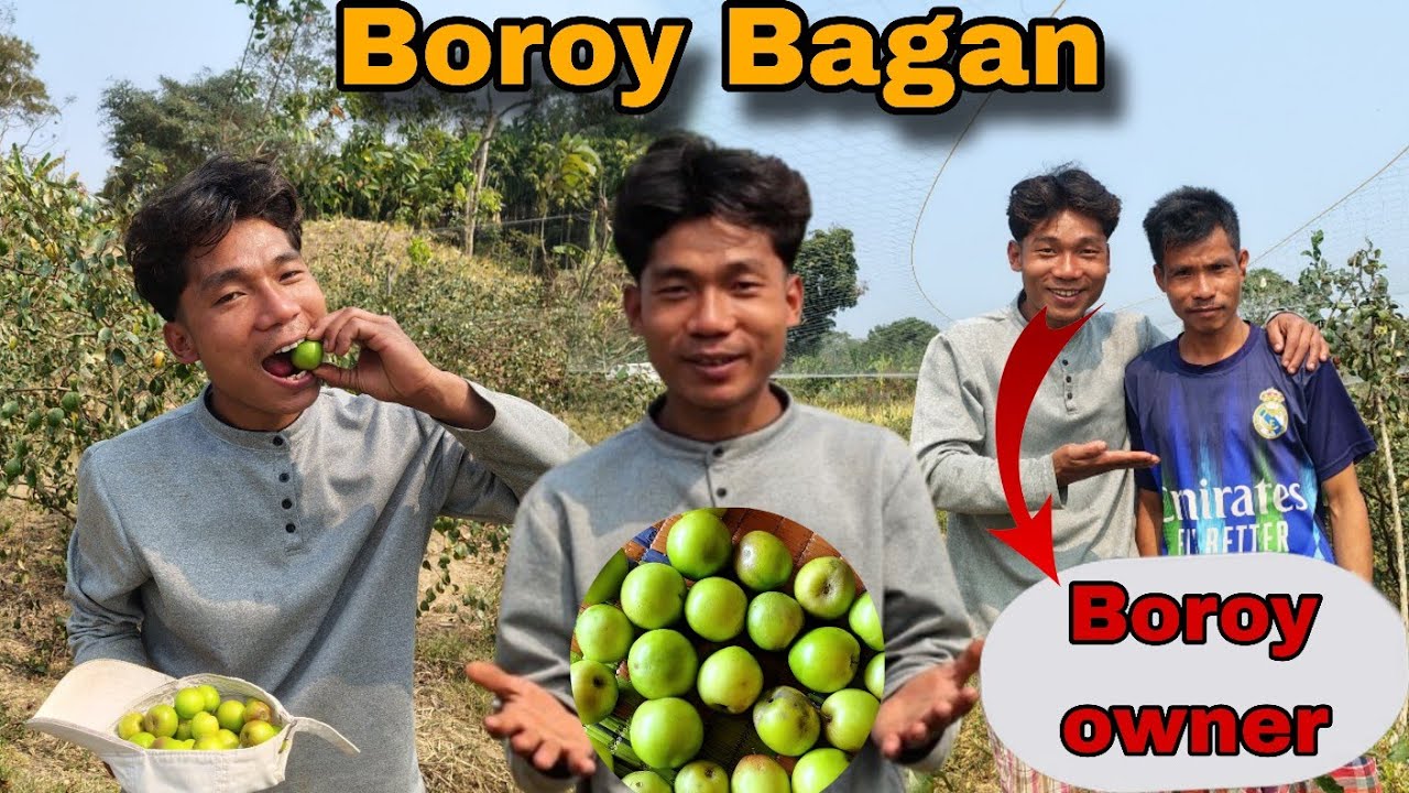 Tripura Boroi Garden🤤|| Mora Cherra New Boroi Garden|| vrs marak 