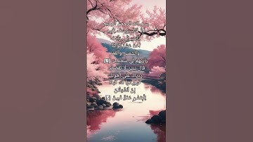 سورة يوسف ... Surah Yusuf الآية 4-5