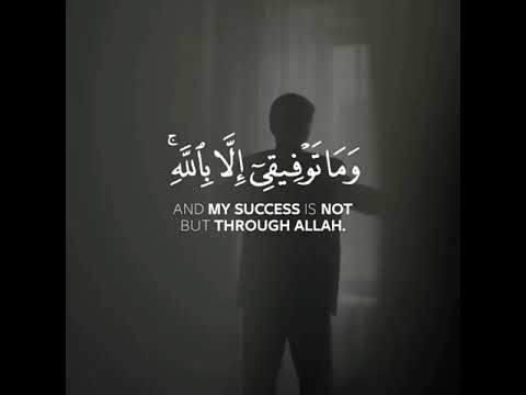 وما توفيقى إلا بالله ياسر الدوسري سورة هود