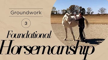 Turn on the Forehand | Groundwork for Beginners and Green Horses | Preparation for Cl. Groundwork