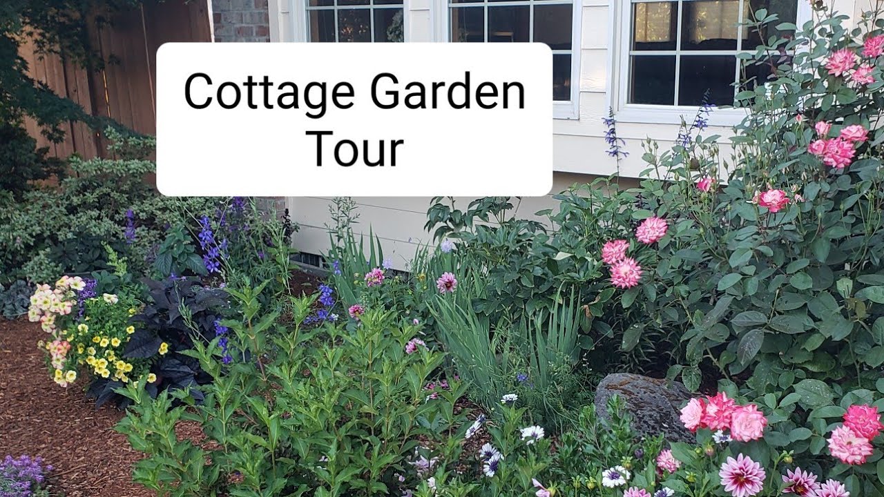 Touring My Cottage Garden! YouTube