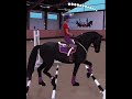 On my alt horses equestrian edit showjumping dressage etg