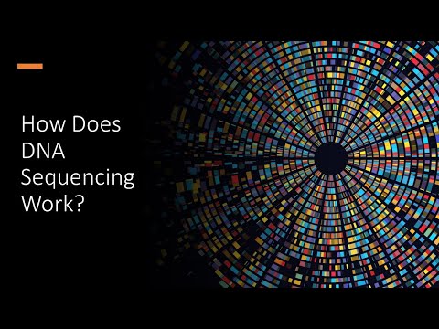 Video: Hur fungerar dna-sequencers?