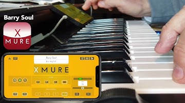 Barry Soul - XMURE Pattern