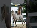 شيلة اتسلى بالطرب للمنشد عبدالعزيز اليامي شيلة اتسلى بالطرب للمنشد عبدالعزيز اليامي
