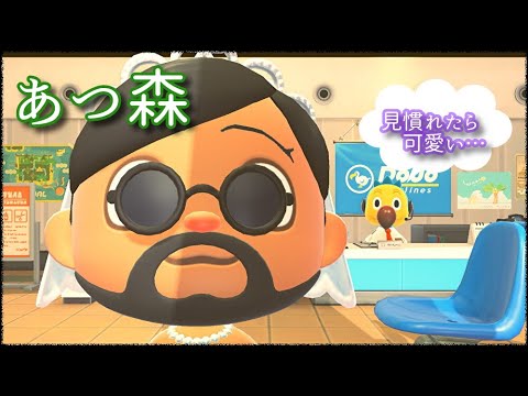 【あつ森】バリ島主のマイル貯め回時々ハピパラ回　実況vol.172 生配信 アラフォーおじさんBIGPAPAのまったり配信